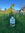 Lawn feed on grass with yellow flowers and a clear blue sky