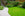 Lush garden with a curved stone path and green lawn