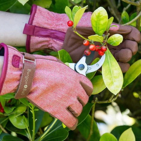 Gloves with pruning shears cutting through green leaves and red berries.