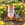 Narcissus Tete a Tete Bulb Bundle