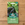 Mr Fothergill's Pak Choi Colour & Crunch F1 Seed