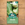 Mr Fothergill's Pak Choi Green Revolution F1 Seed