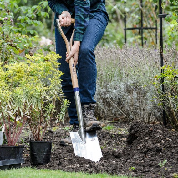 Pedigree digging spade
