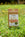 wooden plant labels