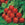 Mr Fothergill's Radish Scarlet Globe Seeds