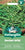 Mr Fothergill's Rocket Wild Seeds