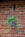Hanging plant in a woven basket against a brick wall