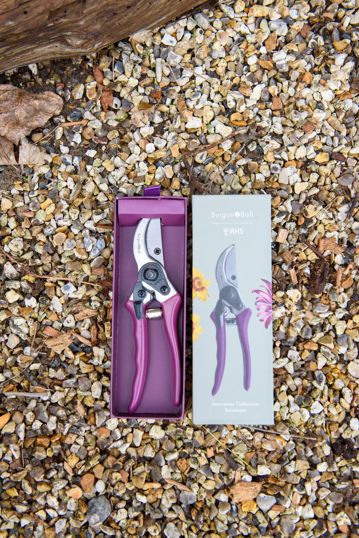 Gardening shears with purple handles in a box on gravel
