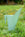 small watering can