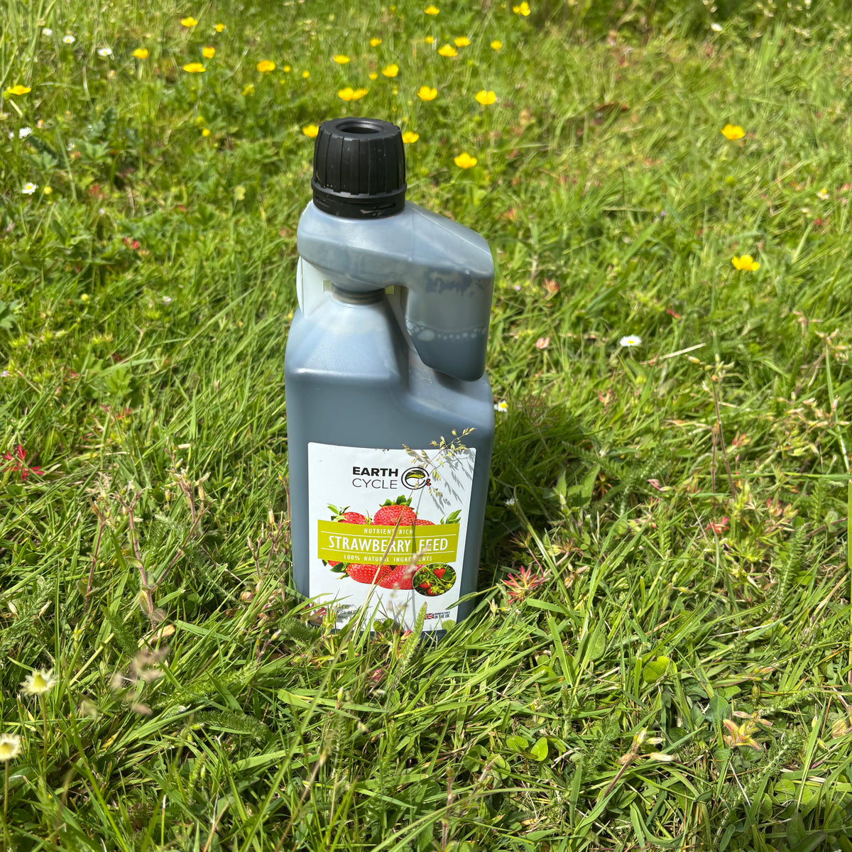 Bottle of strawberry feed on grass with flowers