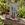 Gardening set displayed outdoors on a wooden bench in a garden, including a floral gardening glove, a trowel and a three-prong garden fork