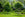 Tree & Shrub Soil