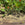 Five silver metal garden stakes arranged in a row, planted in soil next to green leafy plants and small red flowers.