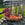 Wooden garden trug on a bench outdoors