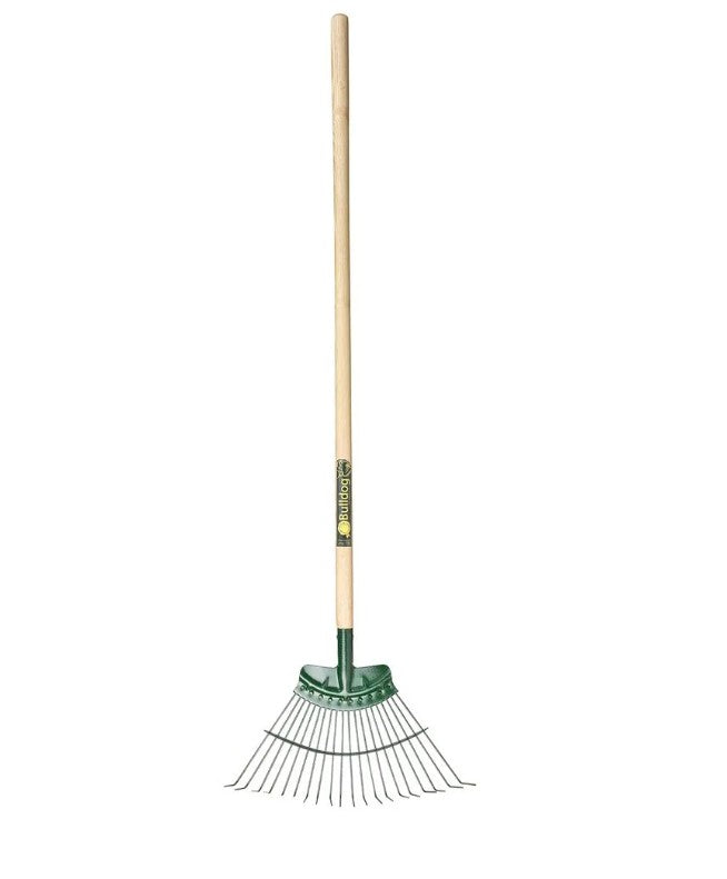 bulldog springbok rake on white background