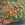 Potted plant with ripe tomatoes and a small bowl of tomatoes on a table.