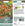 Mr. Fothergill's Tomato Cherry Falls seed packet with a close-up of cherry tomatoes.