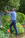mike reaching for a tree