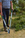tree cutter