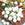 Mr Fothergill's Onion De Paris Seeds