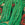 Green beans with red flowers on a woven background