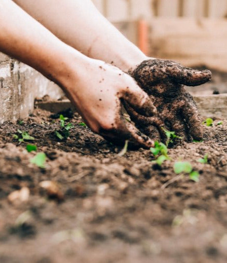 soil on hands