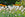 Multi-Purpose Soil