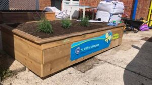 A wooden raised garden bed filled with soil and plants.