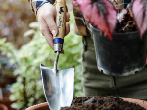 hand trowel in soil