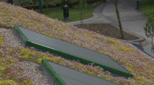 green roof