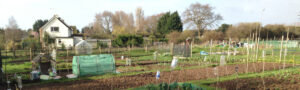 allotment