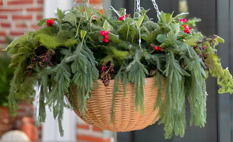 Winter hanging basket with red berries.