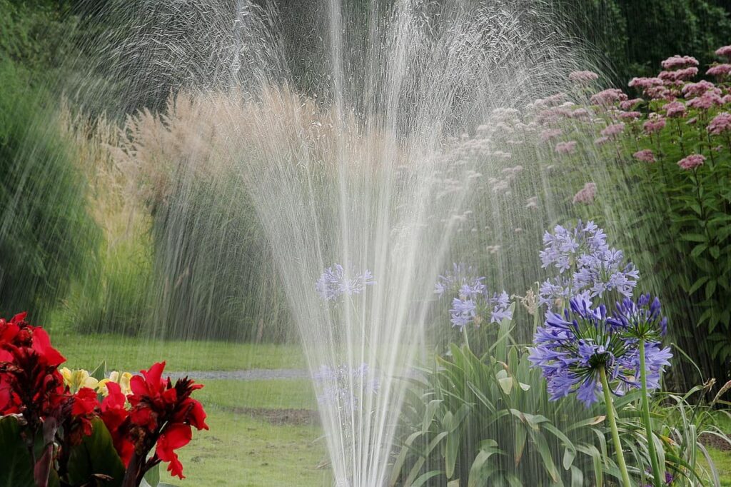 watering a garden