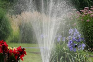 watering a garden